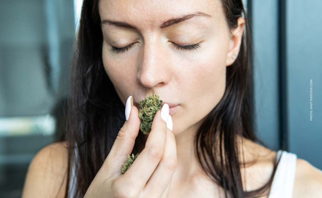 Cannabis Strain Blute Bud Erfahrung Frau Riecht Aroma