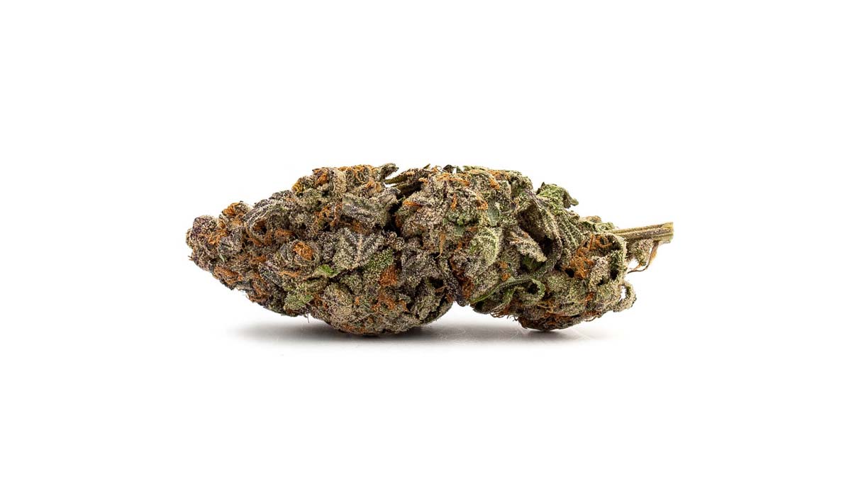 Cannabis Strain Blute Bud Pharmacy Effect Thc Aroma