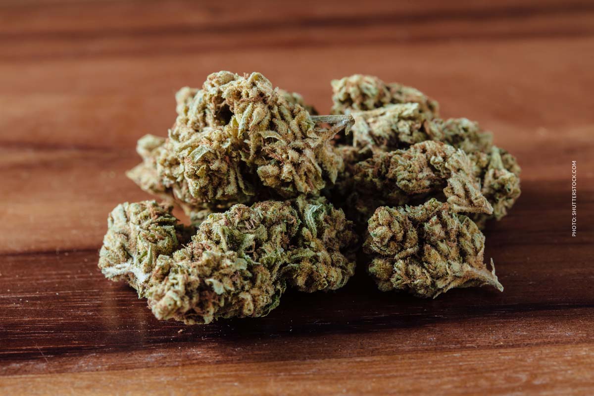 Cannabis Strain Blute Bud Tisch Shop Thc Aroma