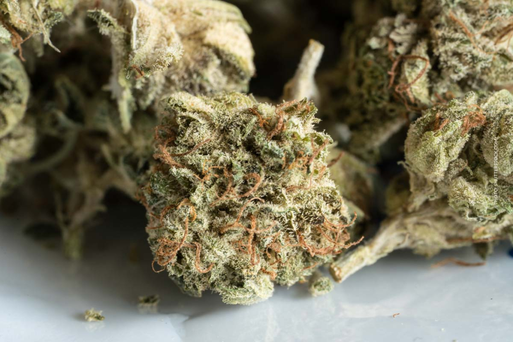 Cannabis im Glas trocknen: Methode, Luftzirkulation, Qualität & Lagerung Cannabis Strain Blute Bud Tisch Shop Thc Aroma