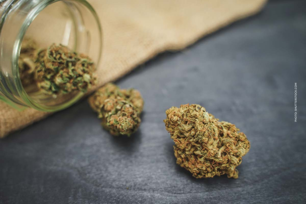 Cannabis Aufbewahrung: Tipps, Methoden, Haltbarkeit & Sicherheit Cannabis Strain Blute Bud Tisch Shop Thc Aroma