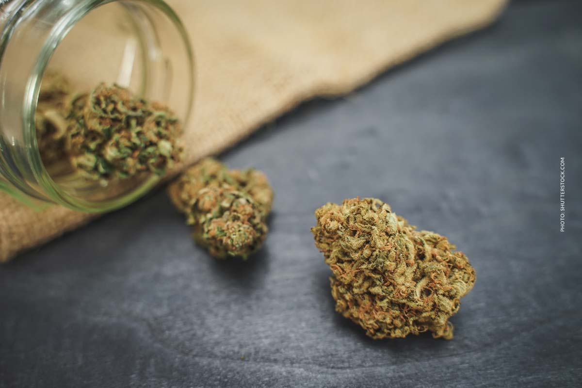 Cannabis Strain Blute Bud Tisch Shop Thc Aroma