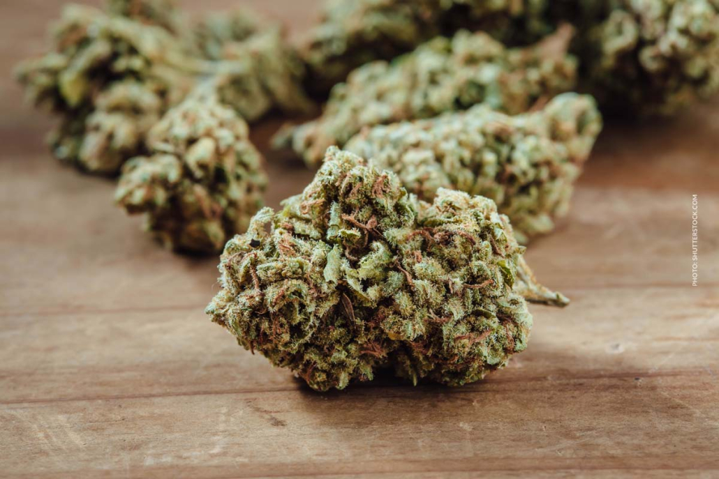 Cannabis Strain Blute Bud Tisch Shop Thc Aroma