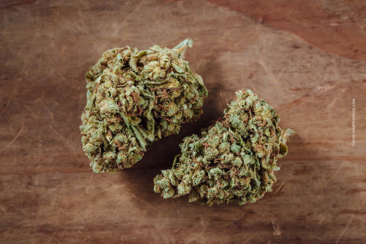 Cannabis Strain Blute Bud Tisch Shop Thc Aroma