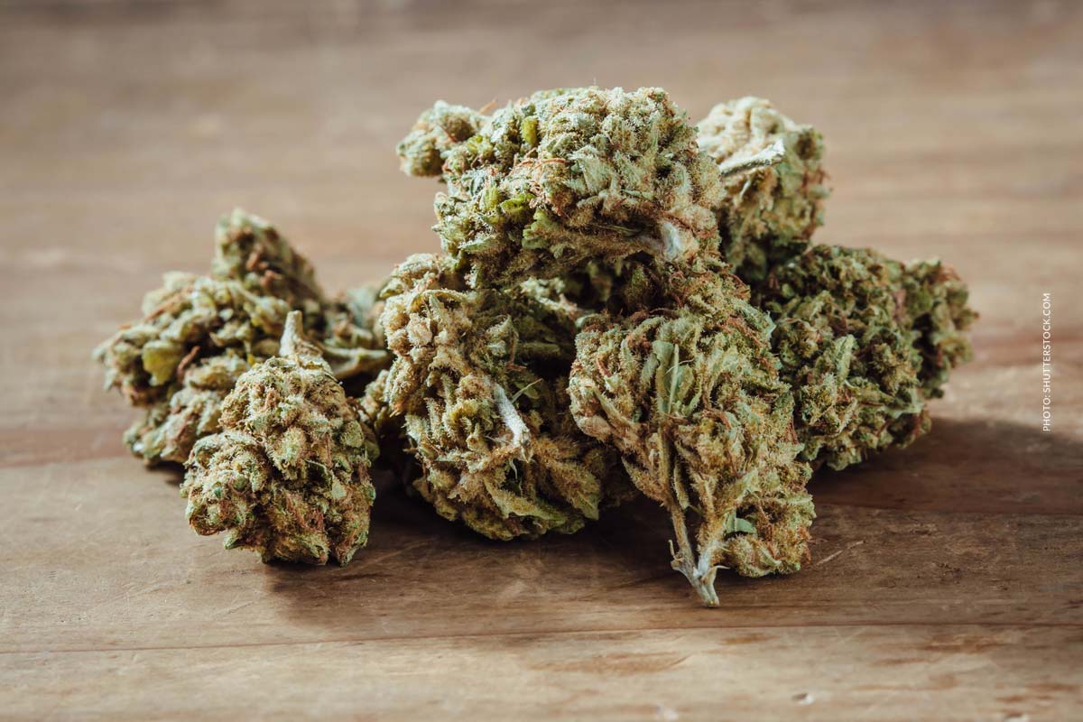 Cannabis Strain Blute Bud Tisch Shop Thc Aroma