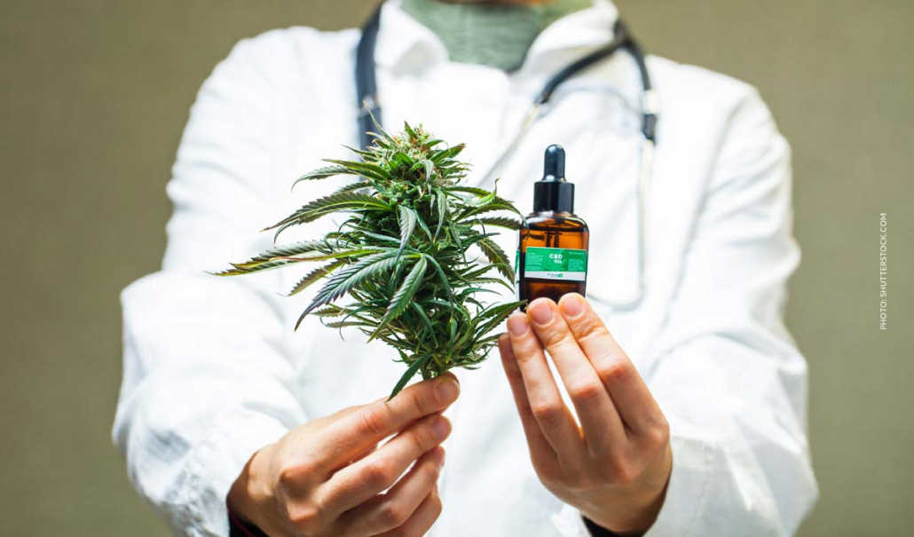 THC Cannabis: Wirkung, Effekt, Blüten, Rezept & Shop - Tetrahydrocannabinol Cannabis Doctor Medikation Bluete Tropen Extract Thc