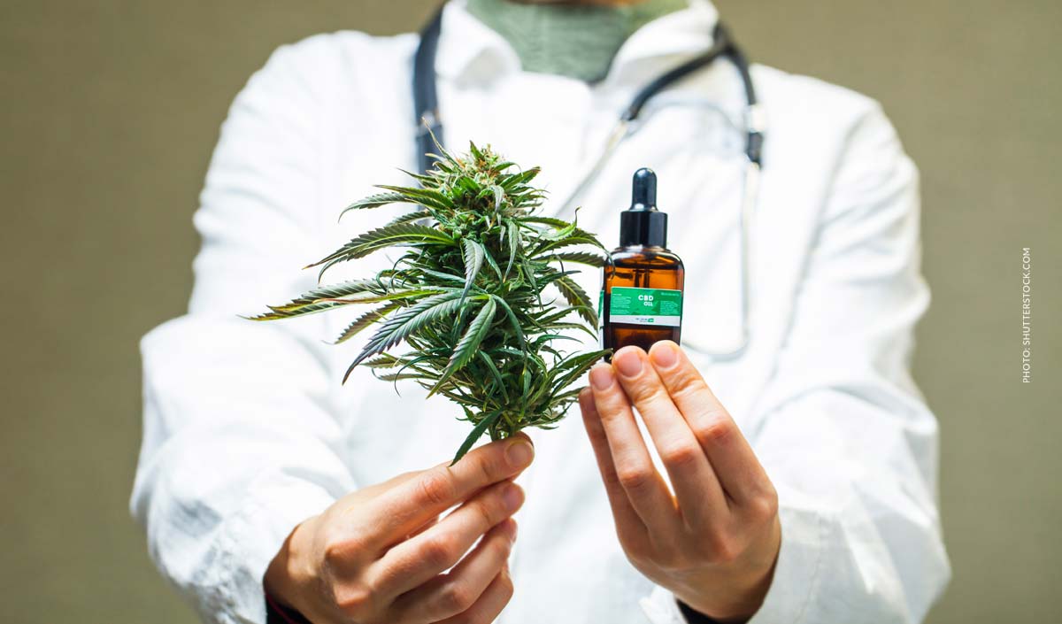 Cannabis Doctor Medikation Bluete Tropen Extract Thc