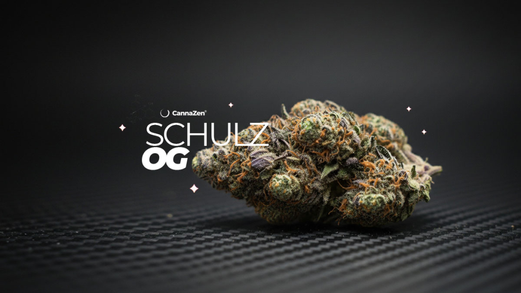 Schulz Og Cannabis Strain CannaZen Manufacturer Effect Aroma