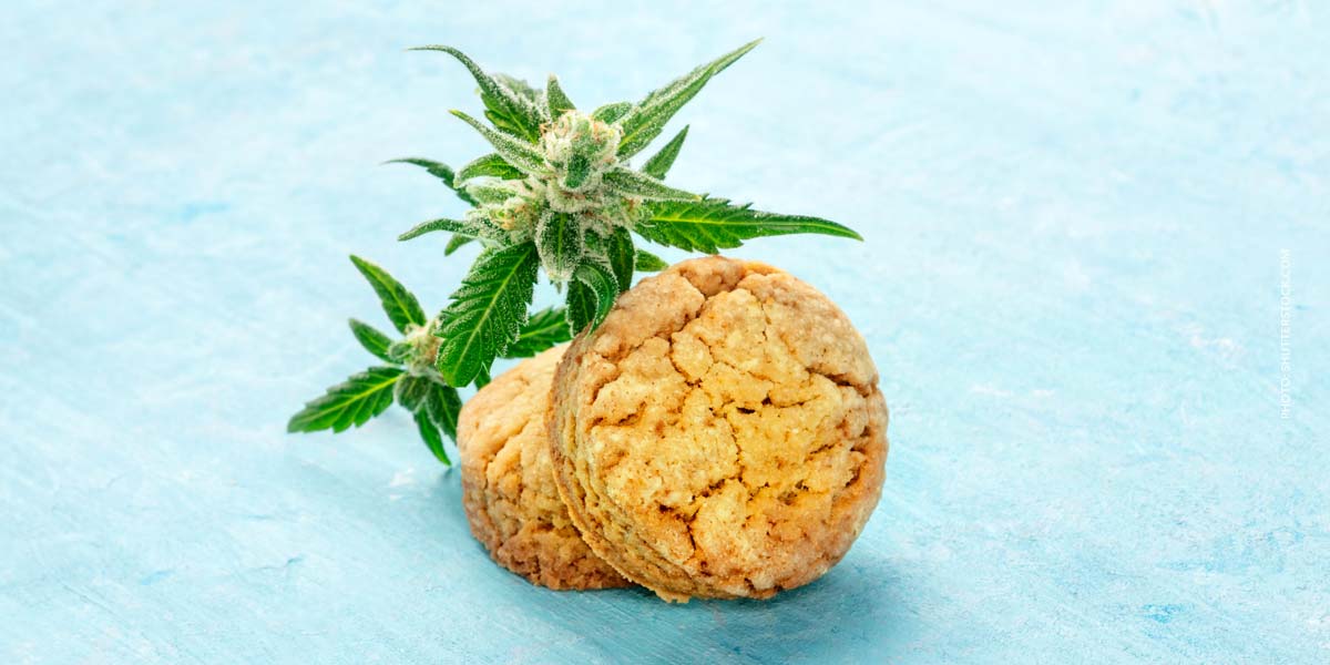 Cannabis Hemp Weed Cookies Thc Effect Vanille Split
