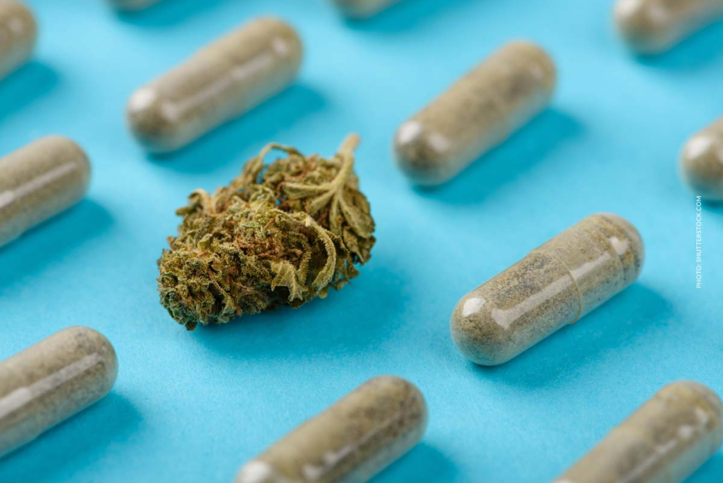 Cannabis Tabletten: Wirkung, Einnahme, Vorteile & Dosierung Cannabis Hemp Weed Tablette Pillen Form Konzentrat Thc