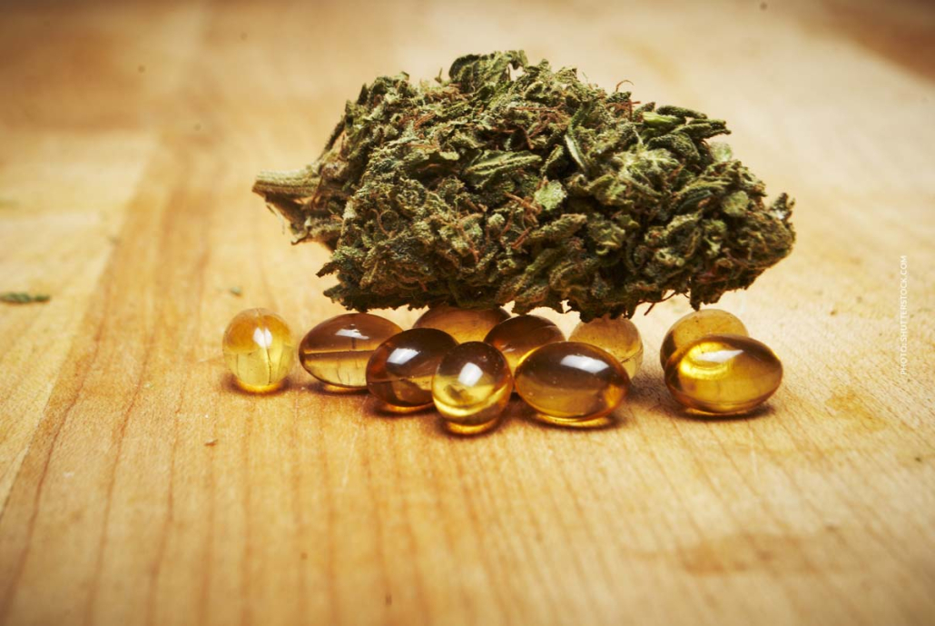 Cannabis Kapseln: Vorteile, Dosierung, Anwendung & Sicherheit Cannabis Kapseln Konzentriert Thc Vergleich Bluete Tisch