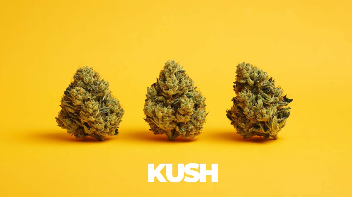 Kush Strains Topliste Namen Effect Story Infografik Flowers