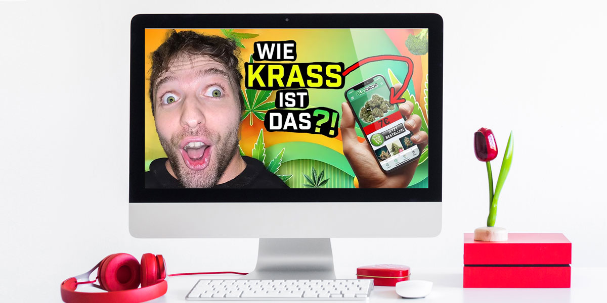 CannaZen Youtube Erfahrung Open Mind Creator Bestellung Lieferung