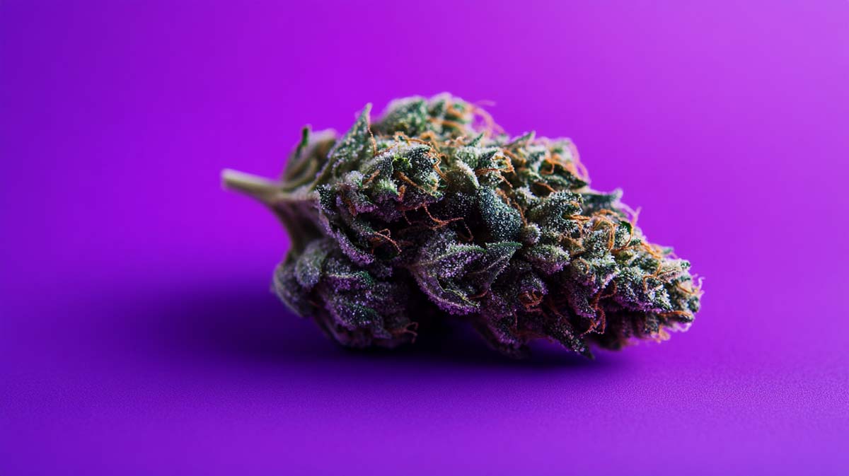 Cannabis Strain Hemp Weed Wiki Strawberry Ice Super