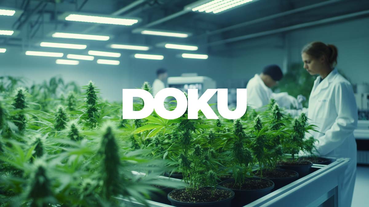 Doku Growmotion Cannabis Produktion Thc Lizenz Brand Pharmacy