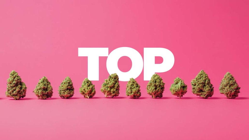 Top 10 Cannabissorten Hemp Weed Liste Alle Groesse