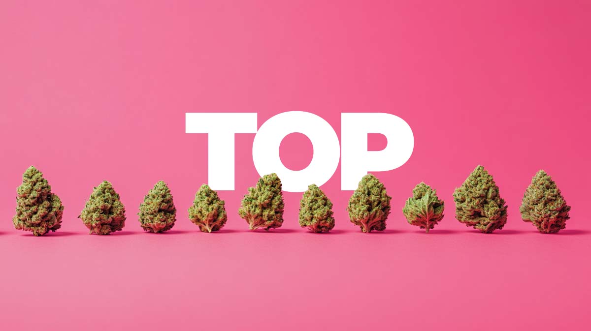 Top 10 Cannabissorten Hemp Weed Liste Alle Groesse