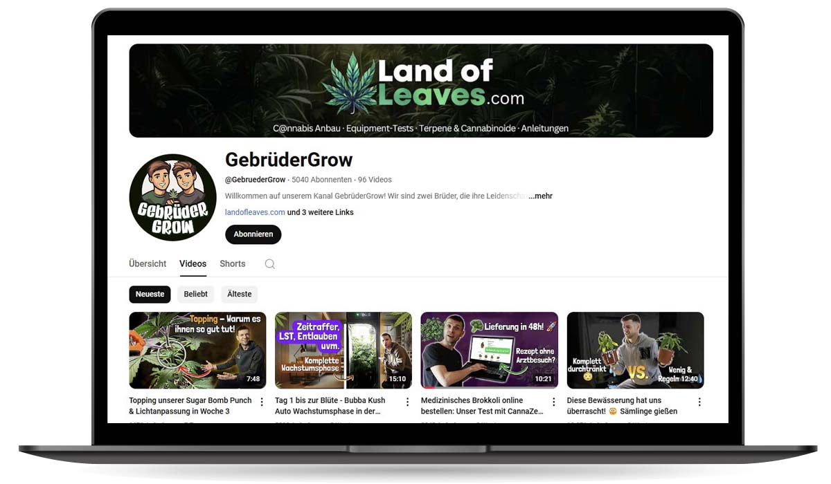 Youtube Kanal Cannabis Weed Hemp Liste Youtuber Gebruder