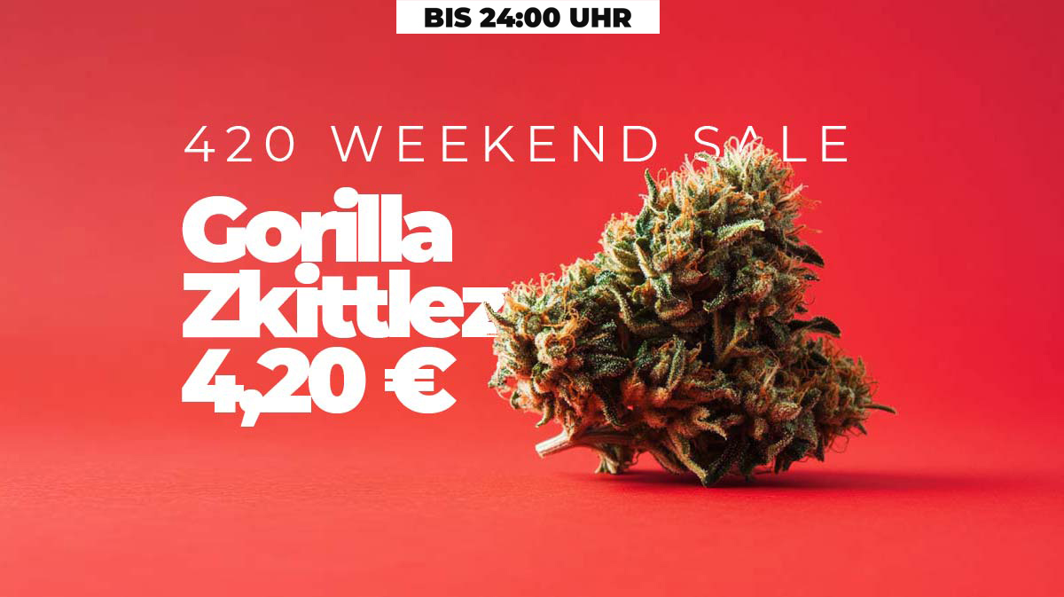 420 Weekend Sale: Save up to -50% on cannabis flowers - Good Friday until 24:00 on Easter Monday 420-feiertag-aktion-rabatt-gunstig-cannabisblueten-shop-50-prozent-billiger