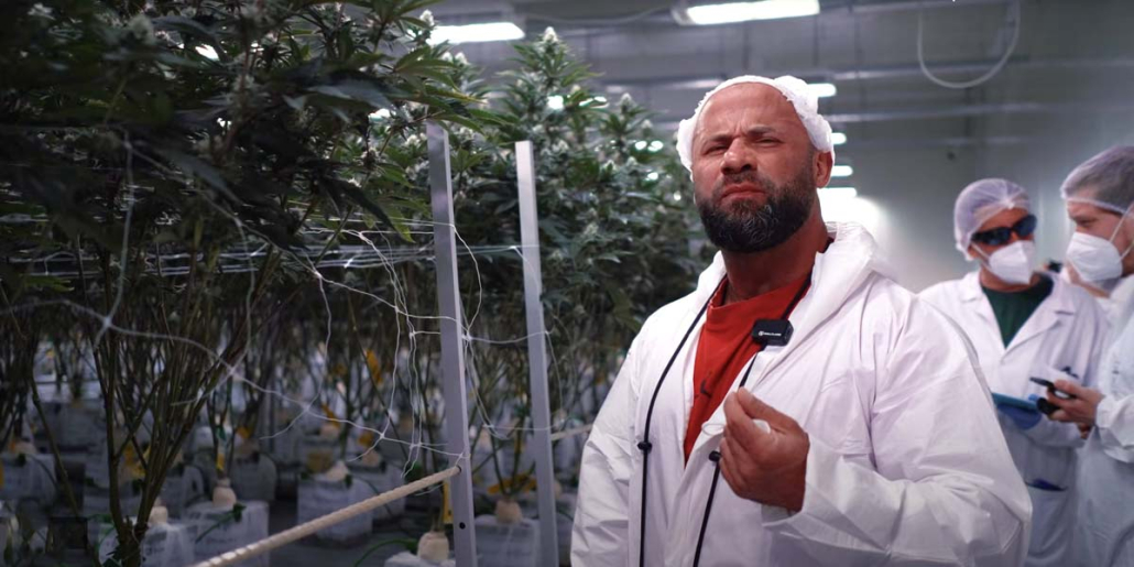 Cannabis Plantage Doku Dokumentation Germany Sharo Reise Trip