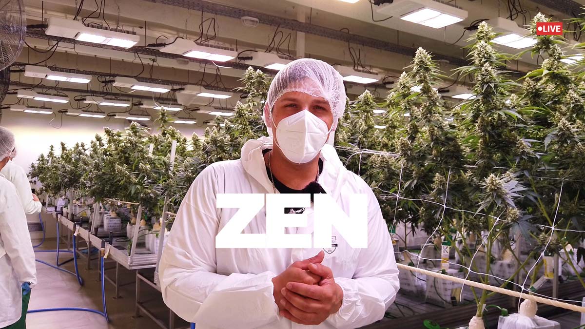 Cannabis Plantage Doku Manufacturer Import Germany Anbau Plant