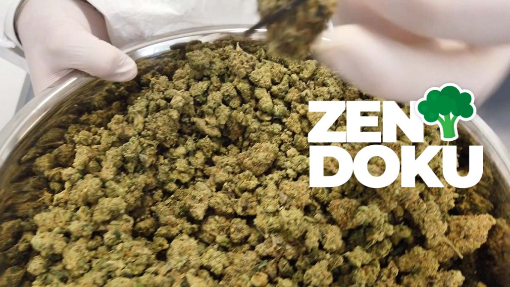Zen News Juni: Mary Jane, Open Mind, GreenConnection, Jeremy Fragrance & Social Clubs CannaZen Cannabis Doku Inside Germany 500g Pharmacy Versand