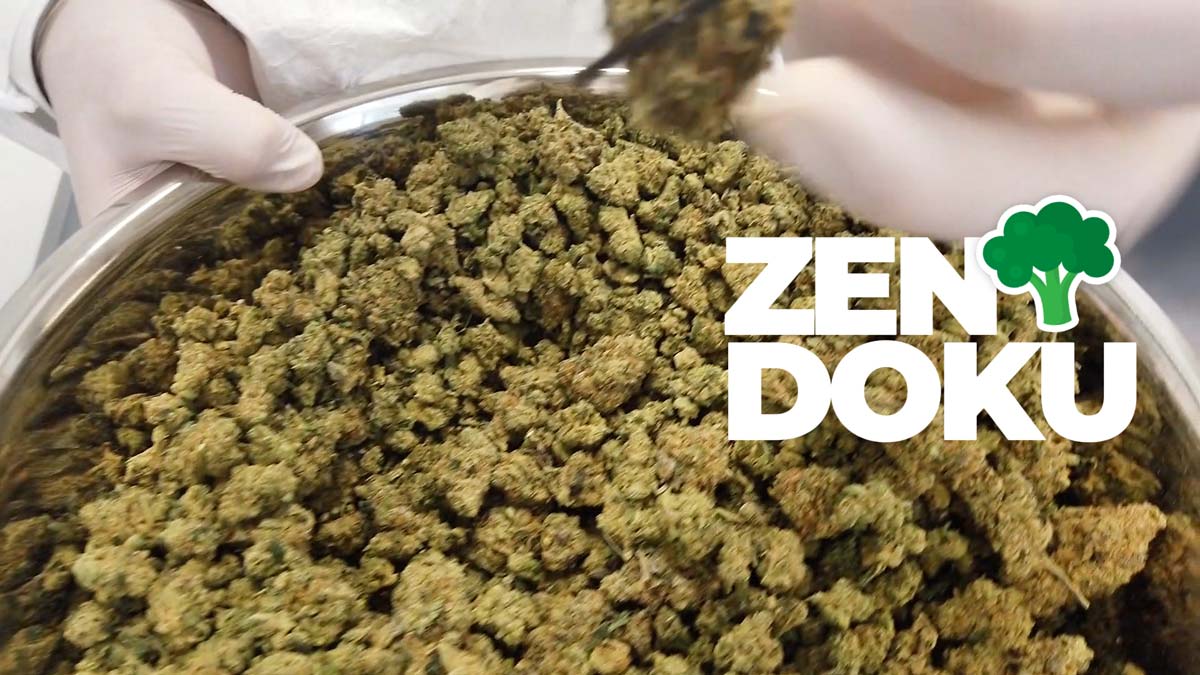 CannaZen Cannabis Doku Inside Germany 500g Pharmacy Versand