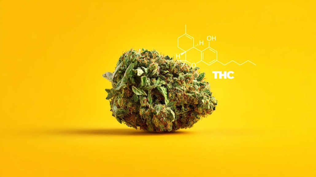 Thc Strain Cannabinoid Wirkstoff Weed Cannabis Molekul Chemie