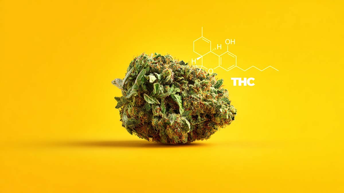 Thc Strain Cannabinoid Wirkstoff Weed Cannabis Molekul Chemie