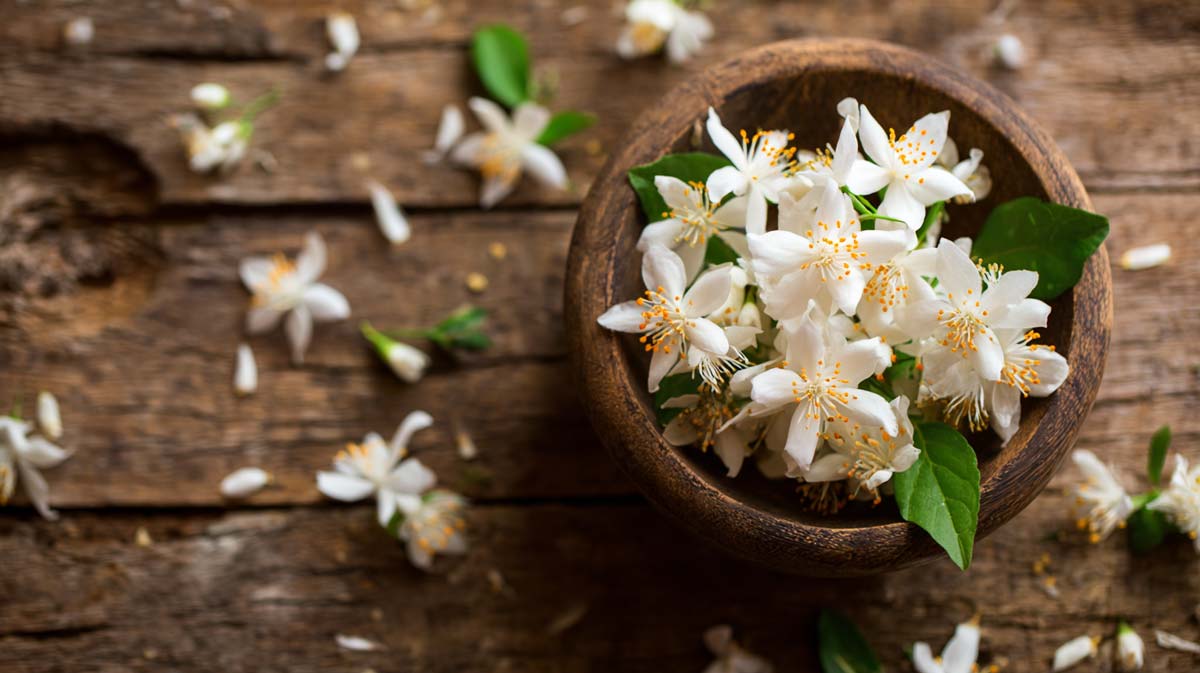 Nerolidol Jasmin Blume Duft Terpen Aroma Geschmack Effect