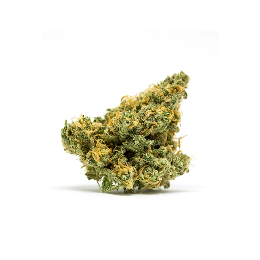 Kush Orange Cannabis Doctor Prescription Pharmacy Shop Blute