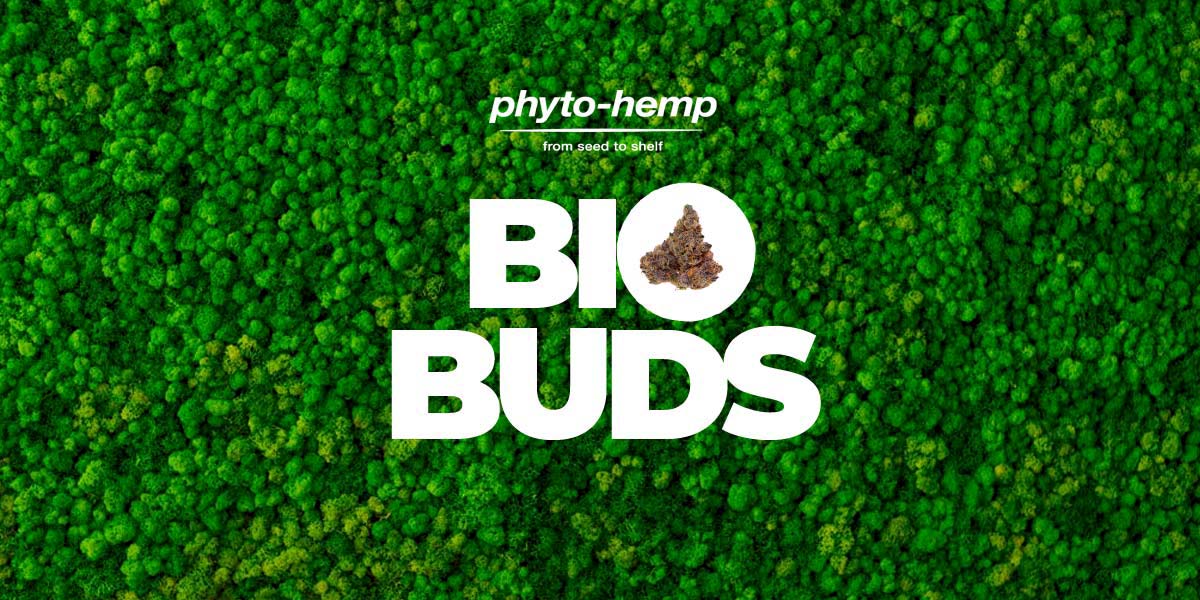 Medical cannabis flowers UK — certified quality
