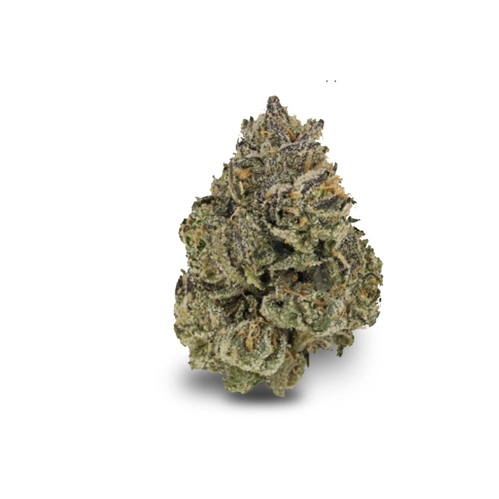 Midnight Lotus Cannabis Doctor Prescription Pharmacy Shop Blute