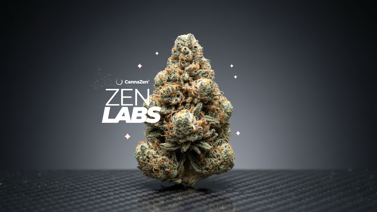 Zen Labs CannaZen Strains Cannabis Pharmacy Hausmarke Original